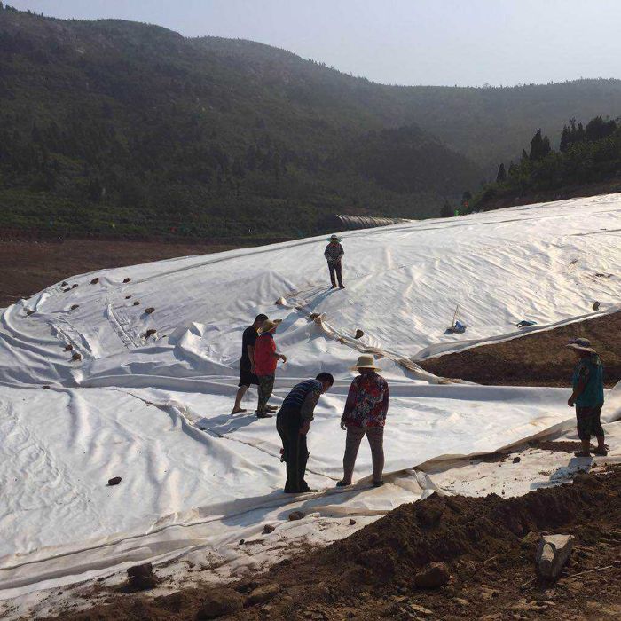 防水91香蕉视频下载地址膜可以防止地下水上升而對路基產生的不利影響